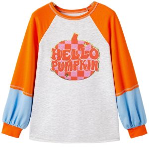 Women's Light Grey 'HELLO PUMPKIN' Patched Graphic Colorblock Bubble Sleeve Raglan Top - Main View
