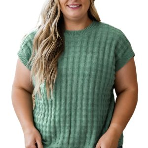 Women's Mist Green Plus Size Textured Knit Sweater – Casual Short Sleeve for Daily Wear