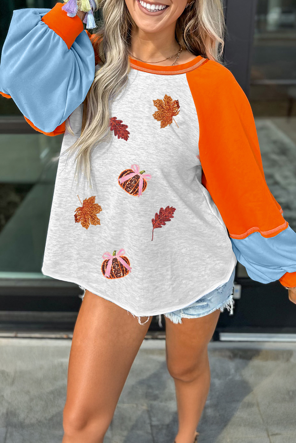 Light Grey Sequin Color Block Long Sleeve Top with Fall Elements Patchwork - Detail View 5