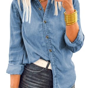 Myosotis Slim Denim Shirt for Women – Casual Buttoned Down Style for Daily Wear