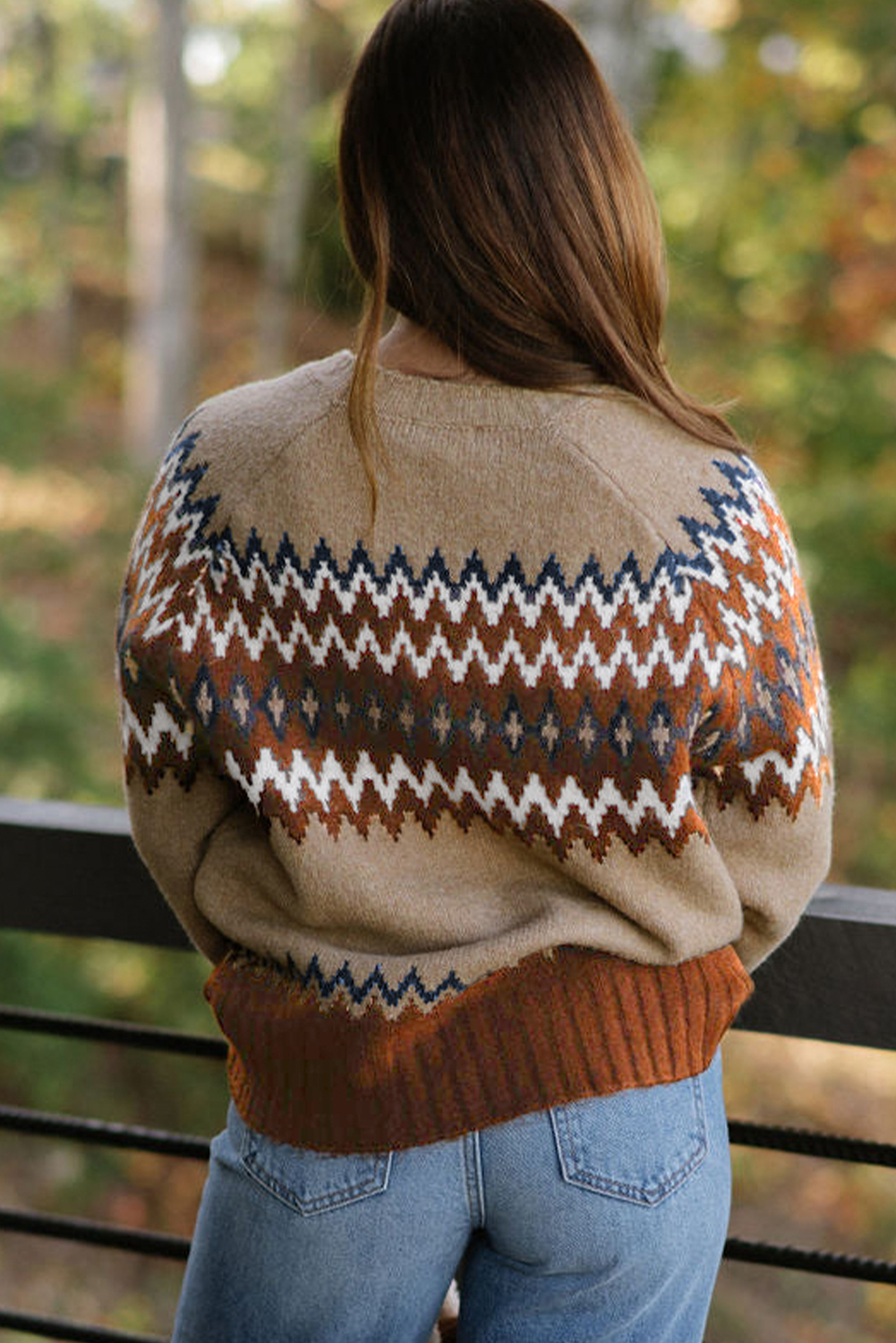 Stylish Long Sleeve Crew Neck Sweater with Western Print - Khaki Colorblock Design - Detail View 2
