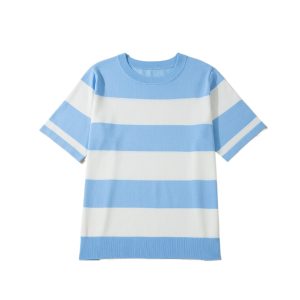 Women's Plus Size Short Sleeve Sweater – Sky Blue Stripe Colorblock Round Neck Knit Top - Main View