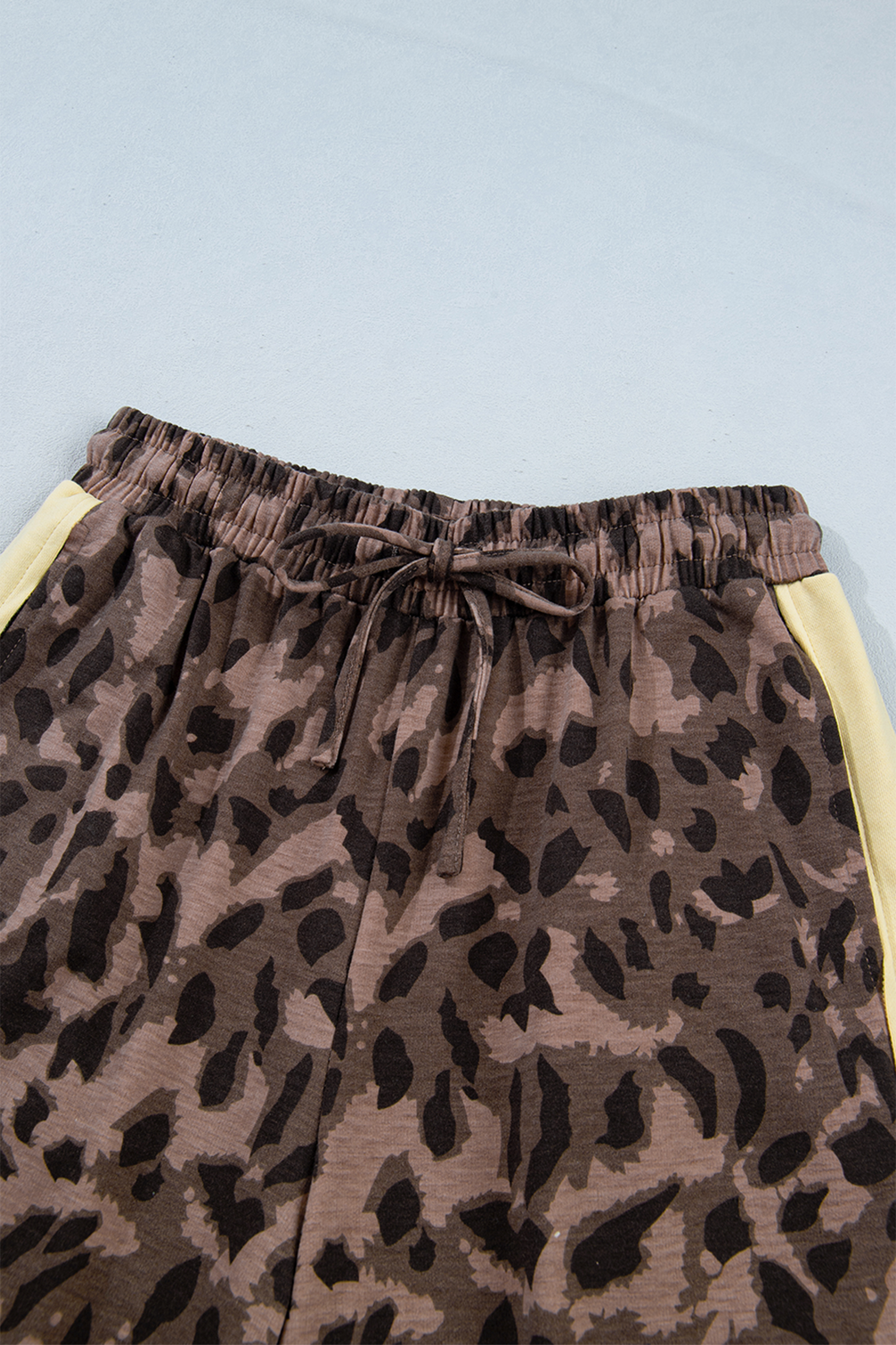 Women's Leopard Print Set, Casual V Neck Long Sleeve Loungewear - Detail View 13