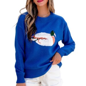 Women's Duck Graphic Sweater, Blue Drop Shoulder Knit Top - Main View
