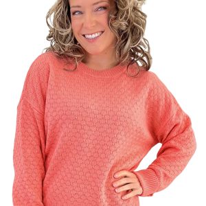 Women's Coral Knit Sweater, Casual Long Sleeve Crewneck Top - Main View
