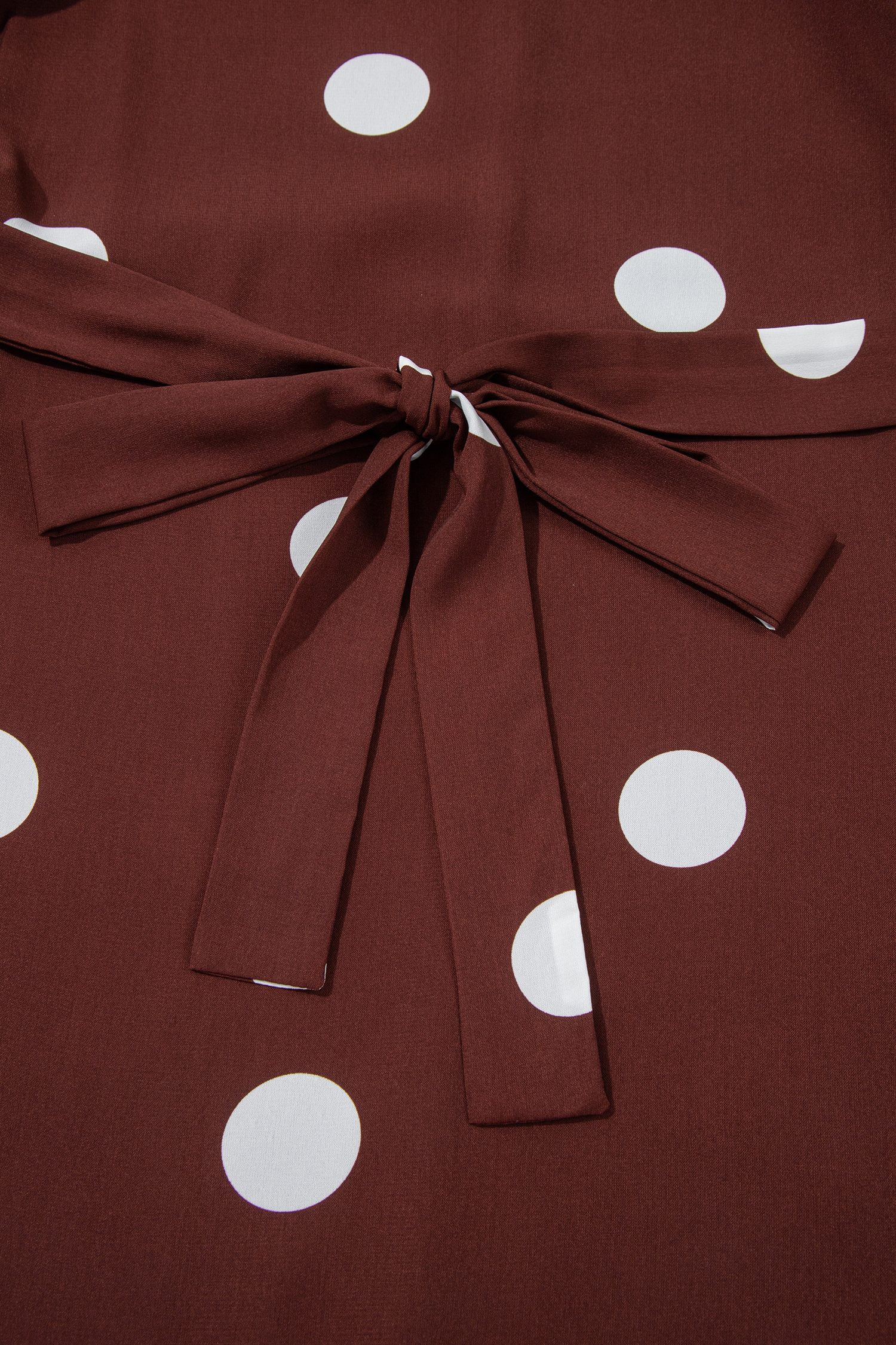 Brown Polka Dot Dress, Long Sleeve Tie Waist Casual Maxi - Detail View 10
